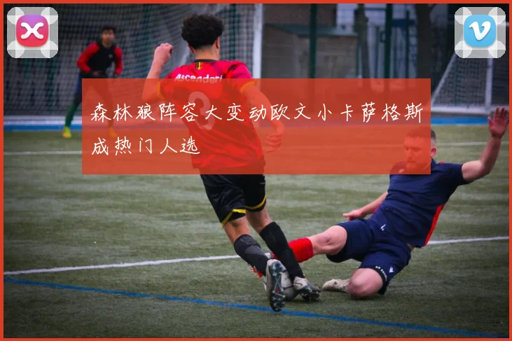 森林狼阵容大变动欧文小卡萨格斯成热门人选